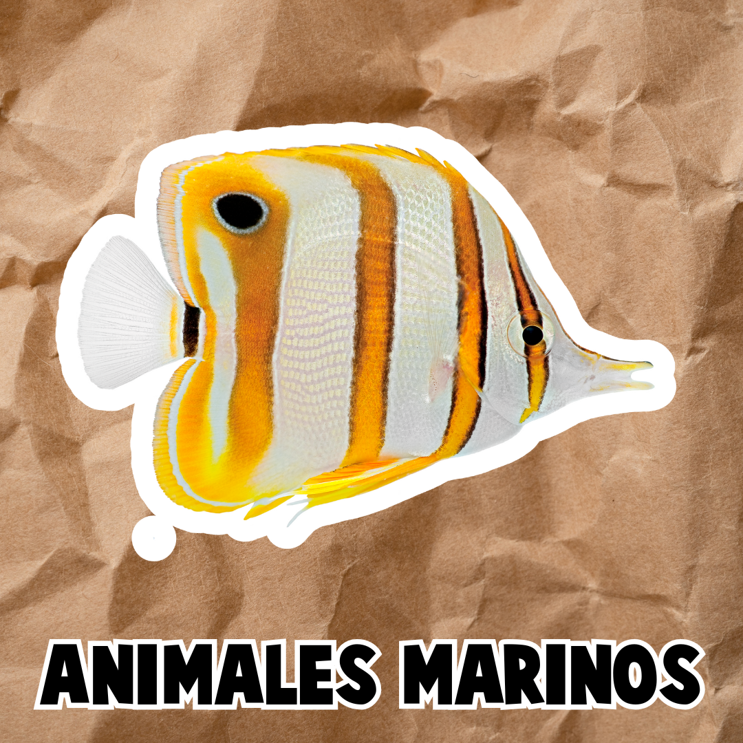 PDF ANIMALES MARINOS
