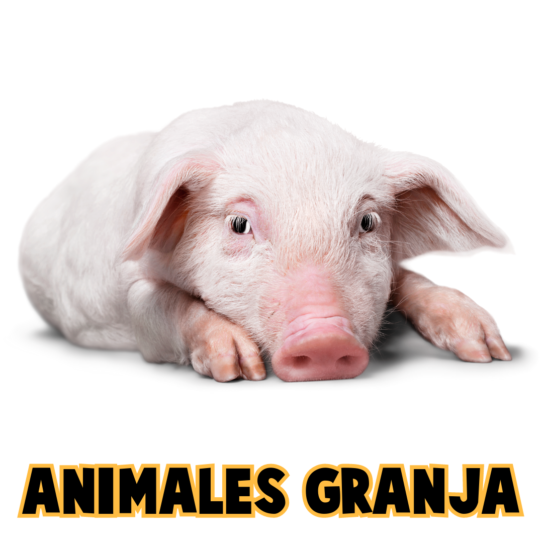 Pictos Granja