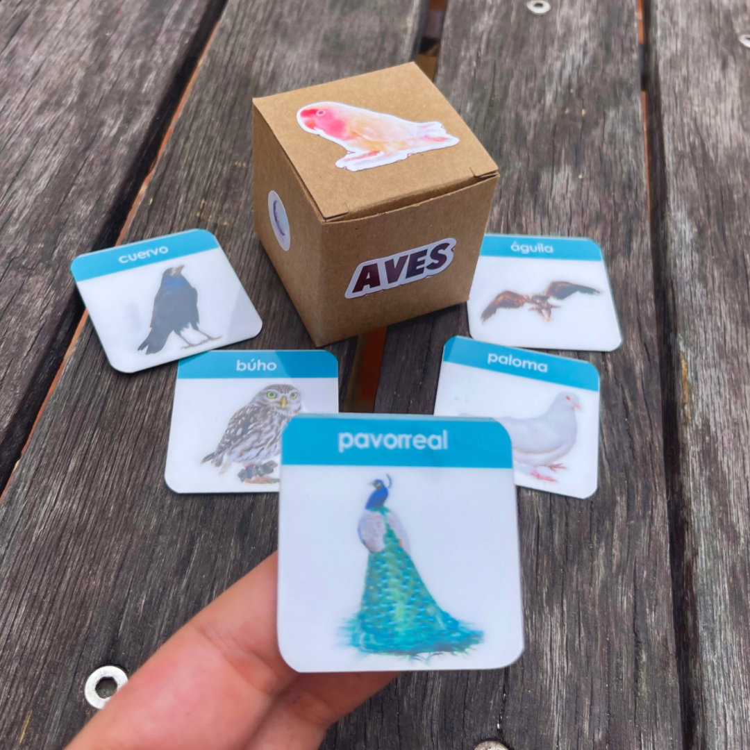 Pictos Aves