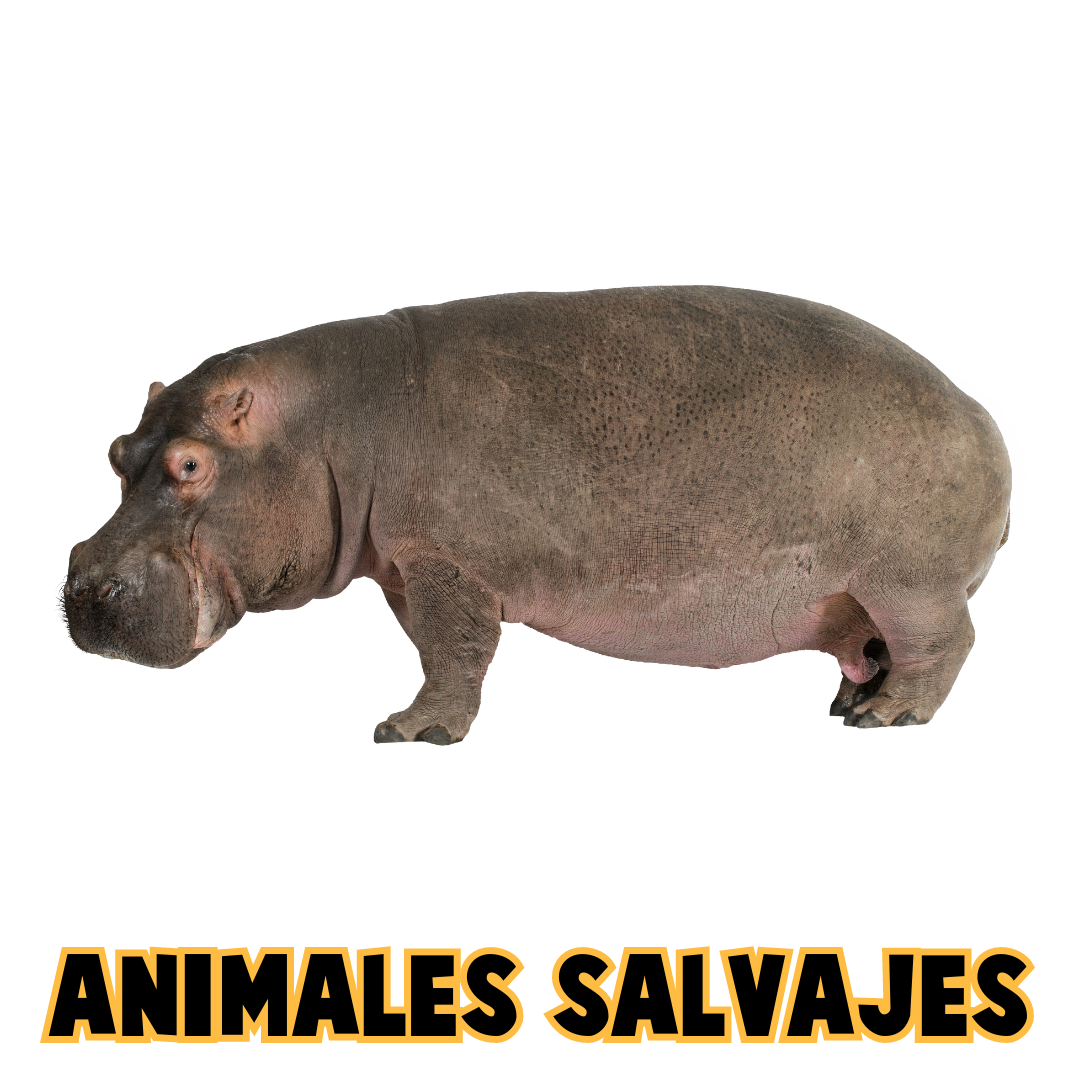 Pictos Animales Salvajes