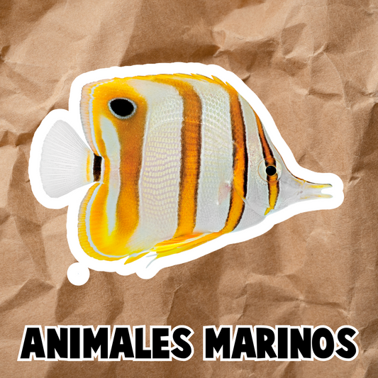 PDF ANIMALES MARINOS