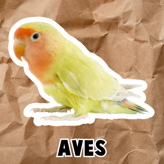 PDF AVES