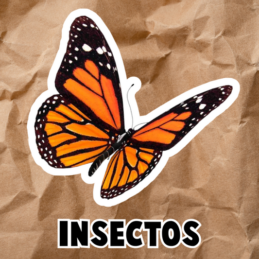 PDF INSECTOS