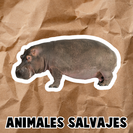 PDF ANIMALES SALVAJES