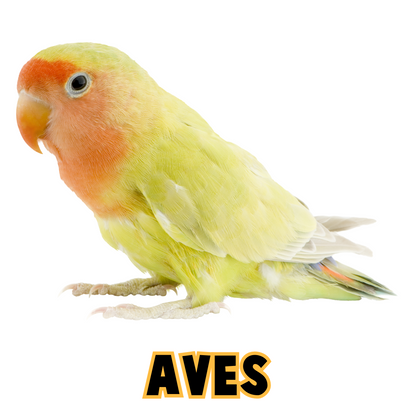Pictos Aves